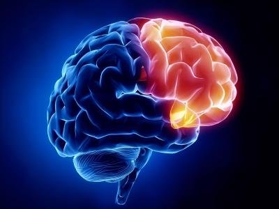  international conferences on neurology and neuroscience