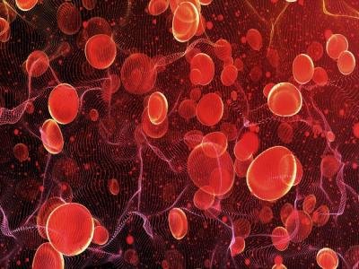 study-of-blood-and-blood-disorders